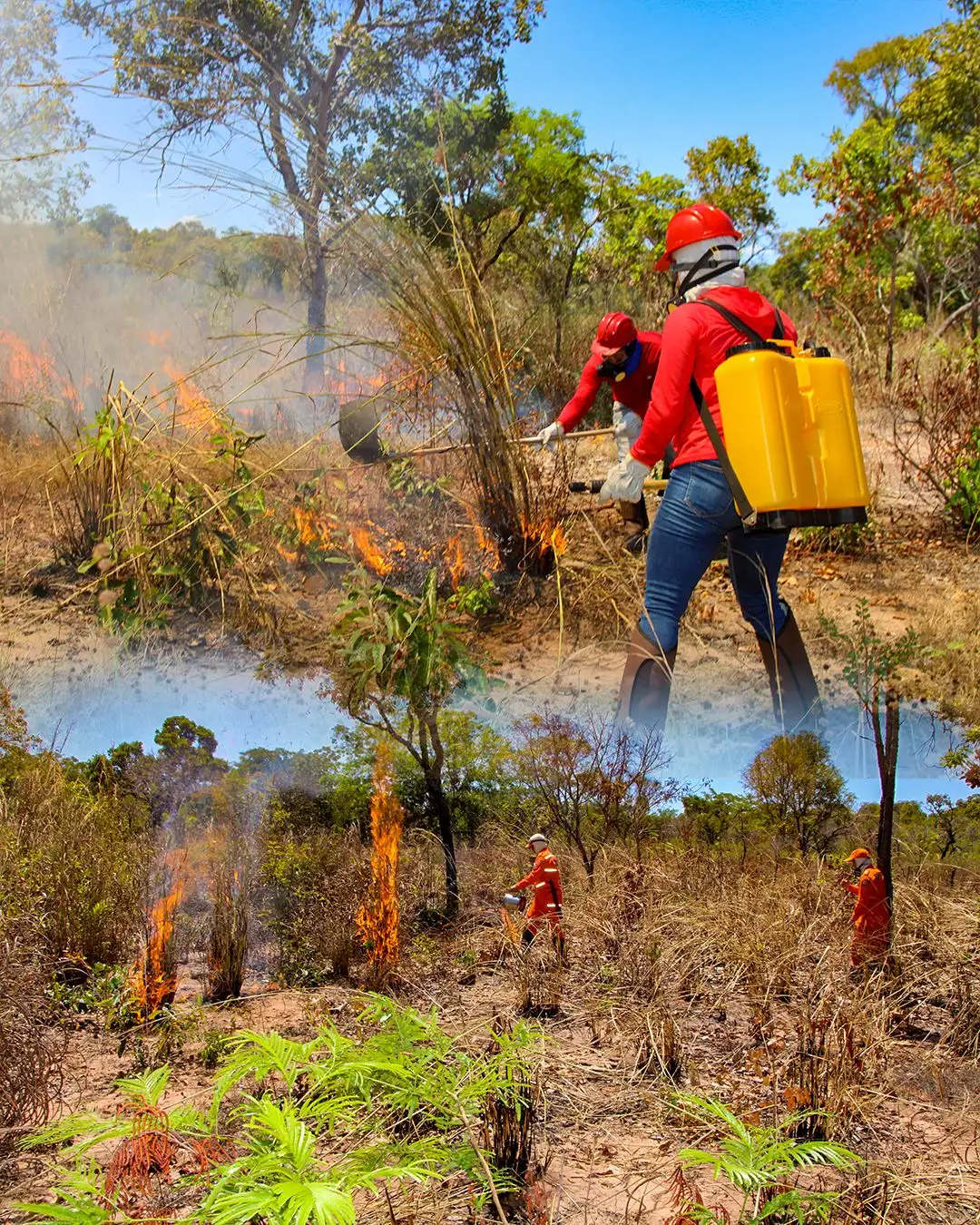 Foto 2 – Matões forma novos brigadistas para reforçar prevenção e combate a queimadas